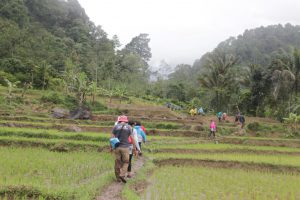 Foto kedua kopi piknik