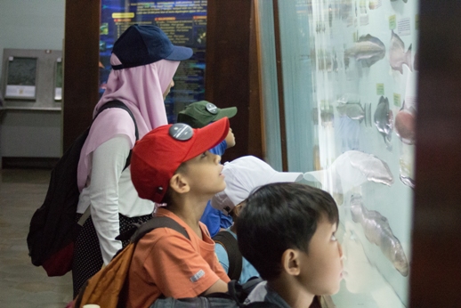Mengamati keanakeragaman hayati di Museum Zoologi